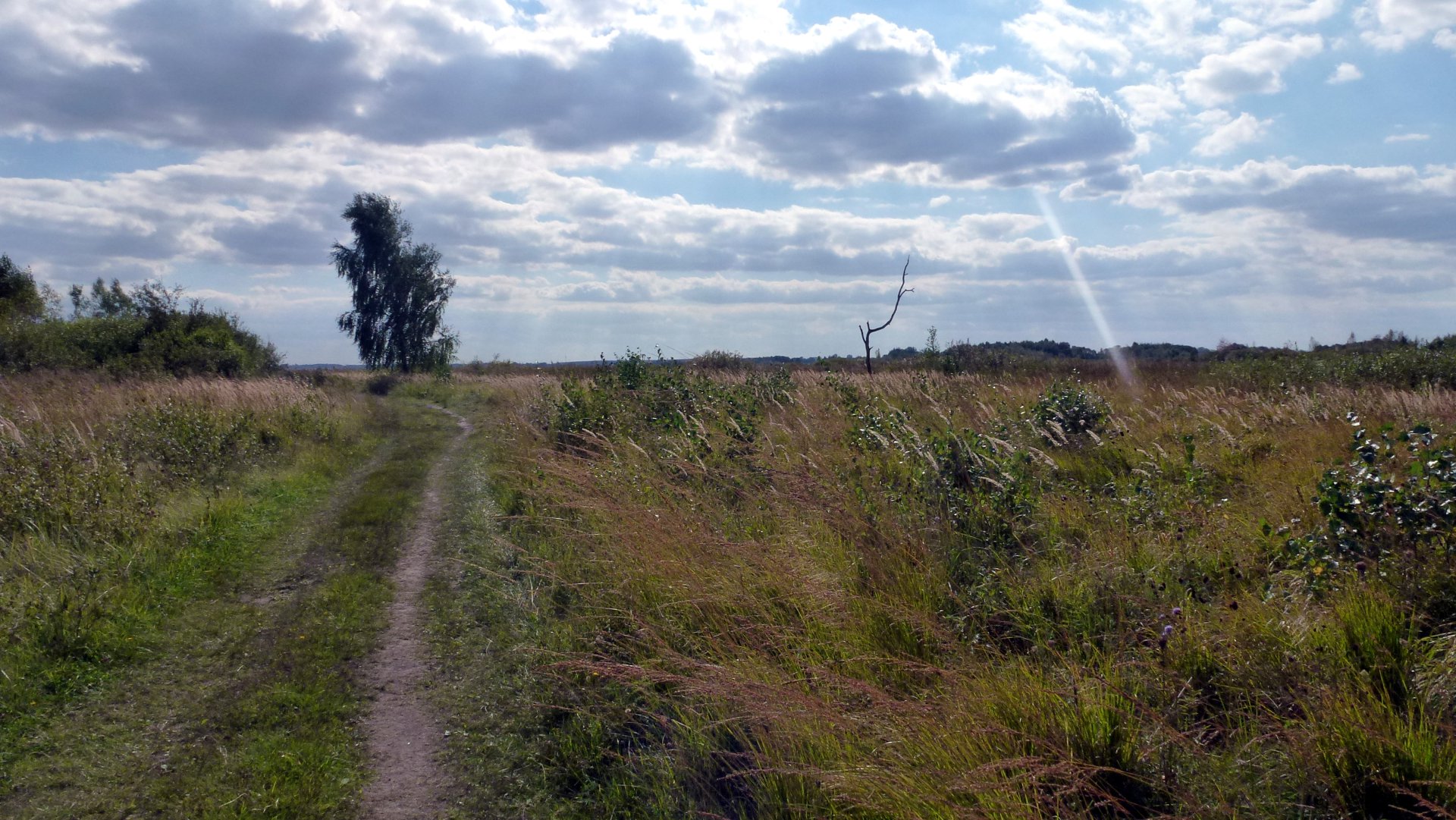 Widok na Bagno Serebryskie
